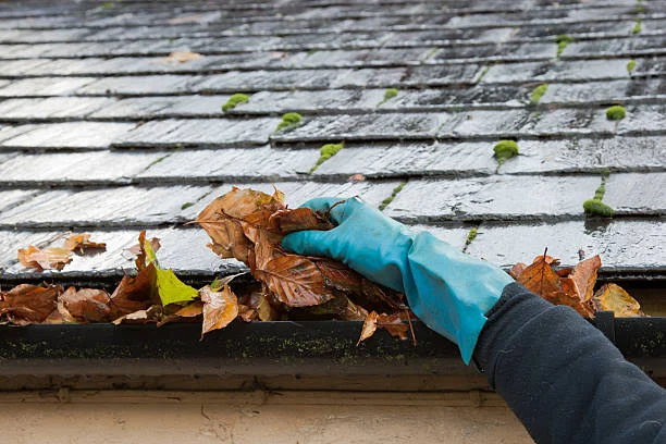 Leaves being removed from guttering during a cleaning service