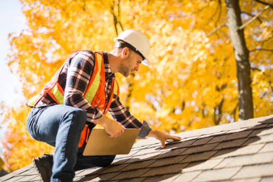 Surveyor inspecting a residential roof and guttering