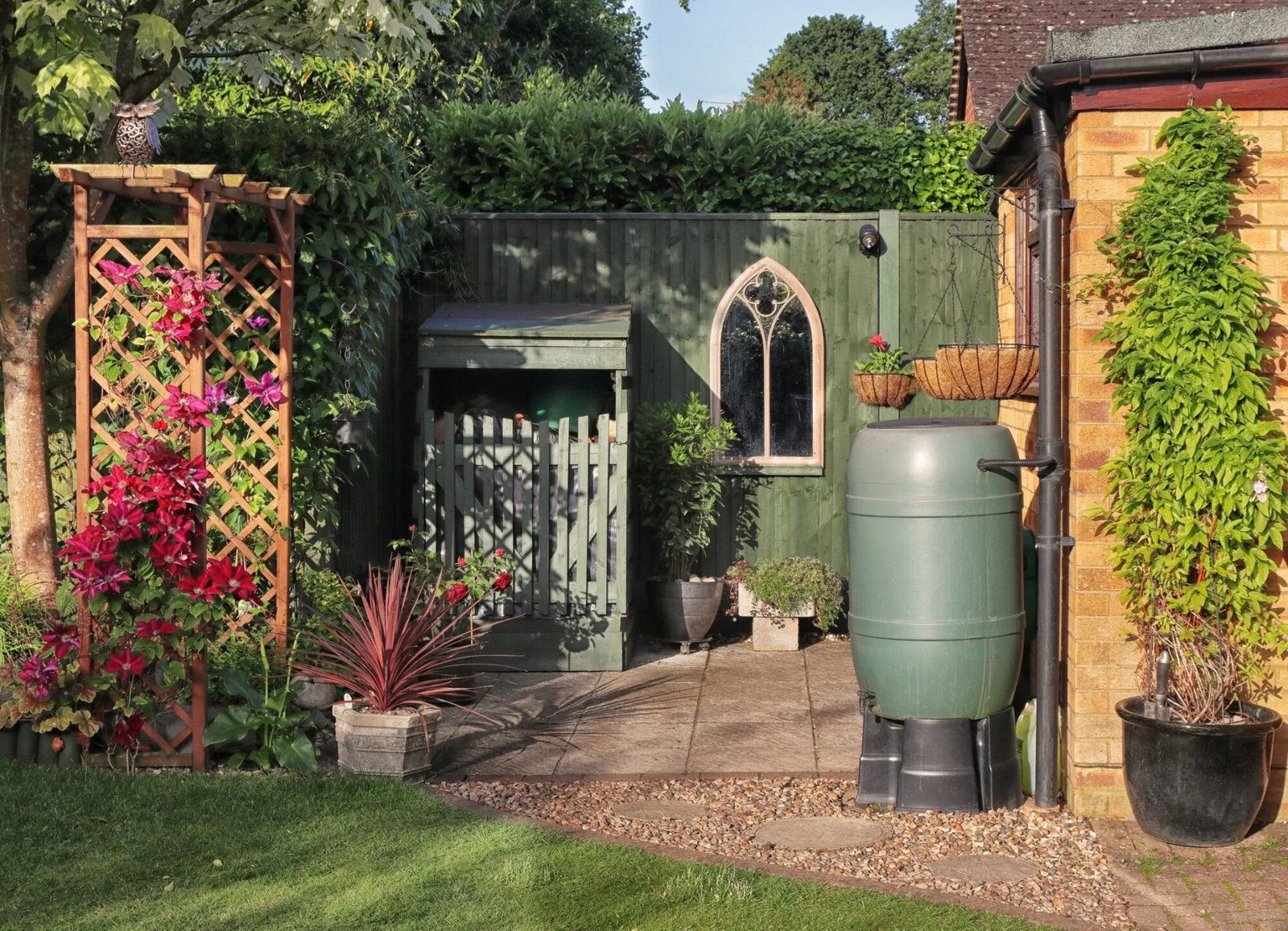 Water butt connected to a rainwater downpipe beside a Chesterfield garden